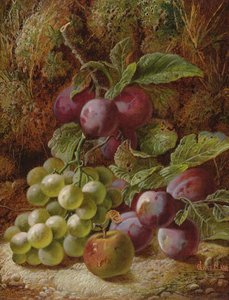 Stilleben med blommer og druer