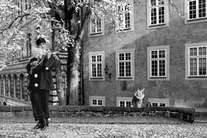 Scena teatrale, 2024 (digitale blandede medier) af Olivia Gozzano