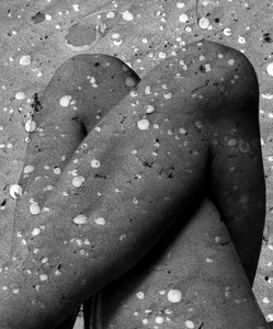 Shell legs, 2019 (digital mixedmedia) af Olivia Gozzano