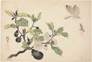 Aubergine med frugt og blomster af Onishi Chinnen