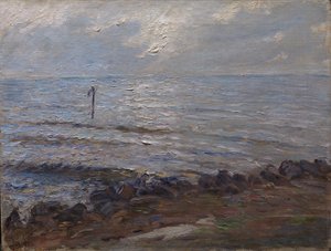 Sollys over havet af Oscar Björck