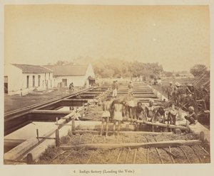 Indigo fabrik (læser karene)