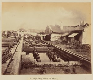 Indigo fabrik (læser karene)