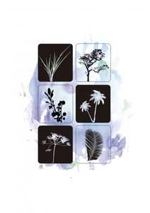 Botaniske silhuetter i akvarel af Osvaldo Russo