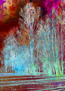 En surrealistisk, farverig skov af Osvaldo Russo