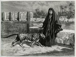Torkan Khanoum, sheik Moses