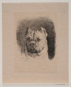 Et hundehoved