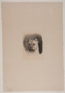 Et hundehoved