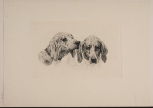 To hundehoveder