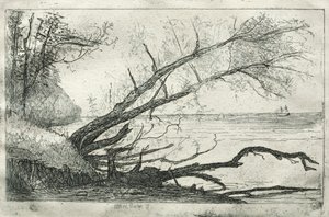 Old Sycamore, 1877. af Otto H. Bacher