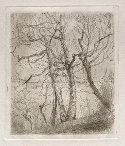 Træer, 1878. af Otto H. Bacher