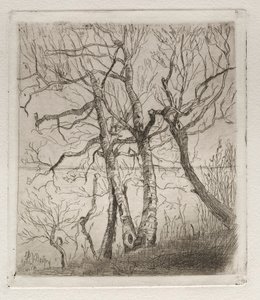 Skov ved søen, 1878. af Otto H. Bacher
