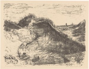 Dunes in Ameland (original titel på objektet)