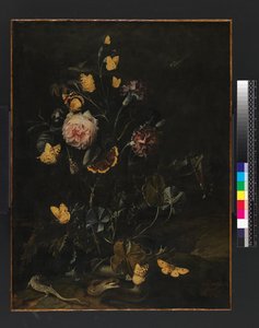 Blomster, insekter og krybdyr, 1673