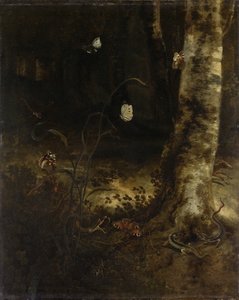 Skovbund med en slange, firben, sommerfugle og andre insekter