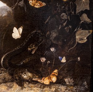 Slanger, tudser og sommerfugle af Otto Marseus van Schrieck