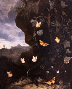 Slanger, tudser og sommerfugle af Otto Marseus van Schrieck
