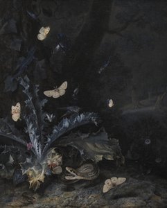 Stilleben med tidsel og slange