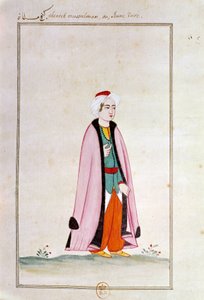 Osmannisk kunst: en ung tyrker. Print fra et manuskript af Ottoman School