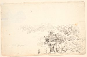 Store egetræer, t.v. en læsende mand. af P.C. Skovgaard