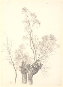 Studie af stynede piletræer. af P.C. Skovgaard