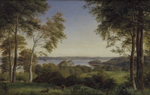 Udsigt over Skarre Sø