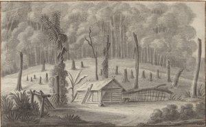 Kampong Tji Badak i Hollandsk Ostindien af P.T. Bik (possibly)