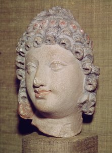 Hoved af en Buddha, græsk-buddhistisk stil, 1.-4. århundrede (stuk)