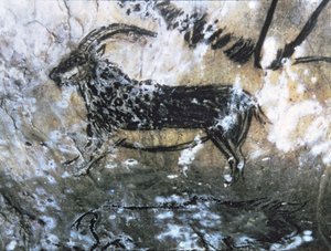Ged eller gemser, klippemaleri i det sorte rum, Magdalenian (hulemaleri)