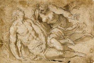 Venus opdager den døde Adonis (sort kridt, pen og brunt blæk på papir) af Palma Il Giovane
