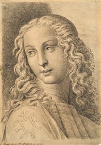 Head of a woman, fra 42 Studies of Heads after Raphael