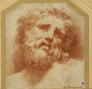 Et skægget hoved, der kigger op (muligvis Laocoon) (rødt kridt på hvidt papir) af Parmigianino