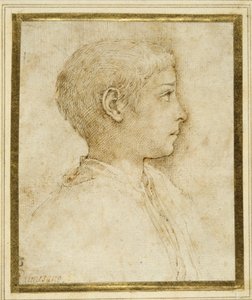 Buste af en dreng i profil til højre (pen & brunt blæk på hvidt papir) af Parmigianino