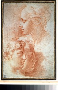 "Etude de tetes" (Studie af hovederne). Ung pige og drenge ansigtsprofil. Tegning af Girolamo Francesco Maria Mazzola eller Mazzuoli dit il Parmigianino (Parmesanen) af Parmigianino