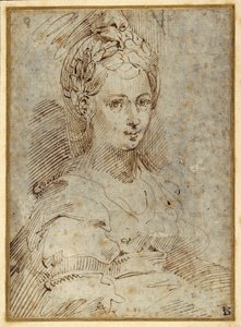 Halv længde af en siddende kvinde (pen og blæk på papir) af Parmigianino