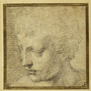Hovedet af en dreng, næsten i profil til venstre (sort kridt på tonet papir) af Parmigianino