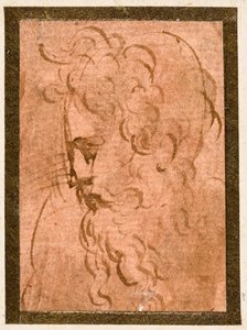 Mandligt hoved af Parmigianino