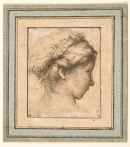 Profilhoved af en pige, der kigger til højre af Parmigianino