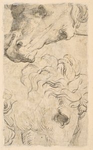 To undersøgelser af hestehoveder (fragment) (verso) af Parmigianino