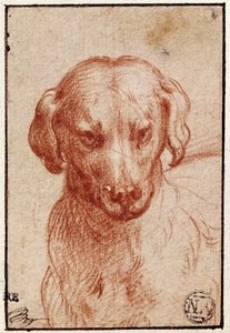 Hoved af en hund (rødt kridt på papir) af Parmigianino