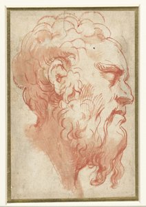 Hovedet af en gammel mand, i profil til højre af Parmigianino