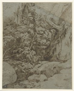 Studie af et landskab af Parmigianino