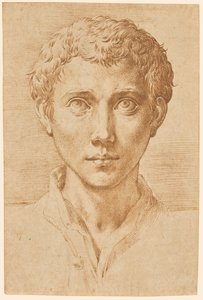 Hovedet af en ung mand af Parmigianino