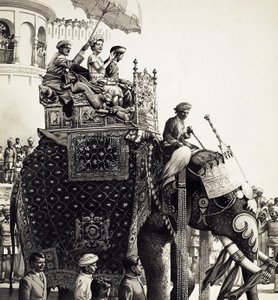 Dronning Elizabeth II på en elefant (gouache)