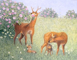 Hjortefamilie (olie på lærred) af Pat Scott