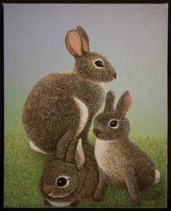 Familien Kanin, 2016 af Pat Scott