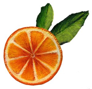 Fruit, 2021 (Akryl på papir) af Patrizia La Porta