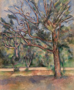 Træer og veje (Arbres et route) af Paul Cézanne