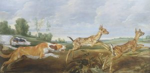 En jagtscene: hunde, der jager to fauner