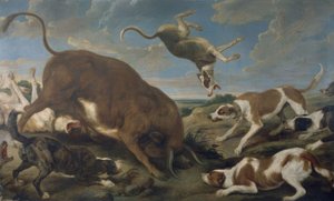 TYRE ANGRET AF HUNDE - 17. ÅRHUNDREDE - LÆRD 210 × 346 cm - BAROK FLAMENCO